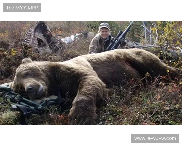 蒂姆·维阿为何引爆美国足坛?揭秘传奇之子,12粒进球背后的故事 蒂姆·维阿为何引爆美国足坛?揭秘传奇之子,12粒进球背后的故事
