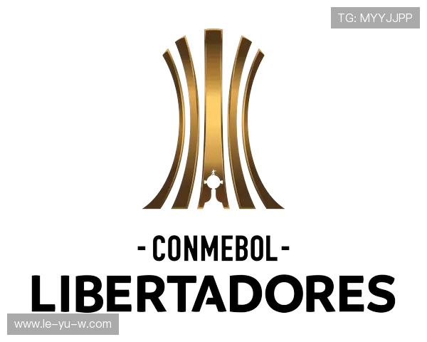 南美解放者杯激战升级，豪强争锋！